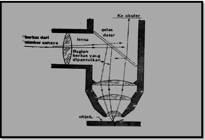 Gambar 6. Skema pengamatan struktur mikro dengan mikroskop optik (Van Vlack, 1992).  