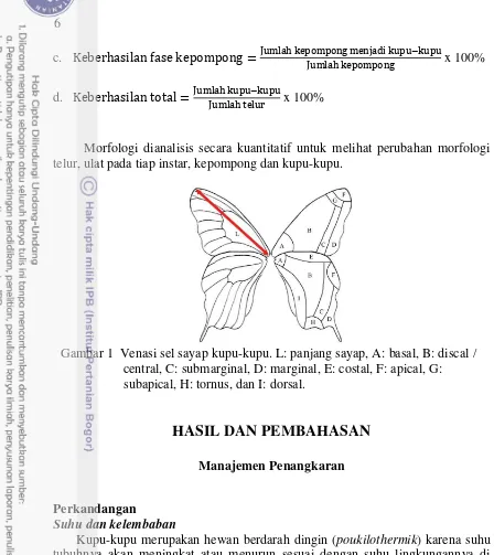 Gambar 1  Venasi sel sayap kupu-kupu. L: panjang sayap, A: basal, B: discal / 