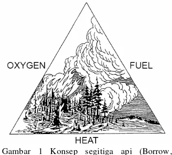 Gambar 1 Konsep segitiga api (Borrow, 