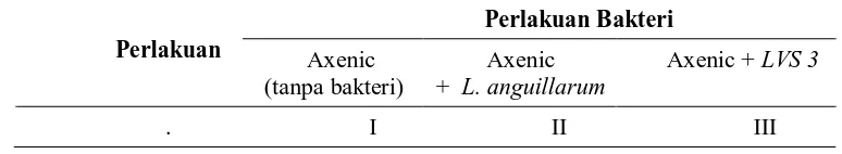 Tabel 2. Rancangan perlakuan untuk mengetahui pengaruh Listonella anguillarum and Aeromonas hydrophila (LVS 3) terhadap larva sea bass  
