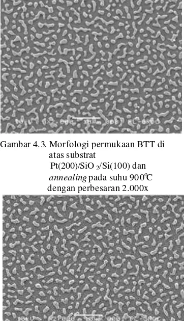 Gambar 4.3. Morfologi permukaan BTT di  