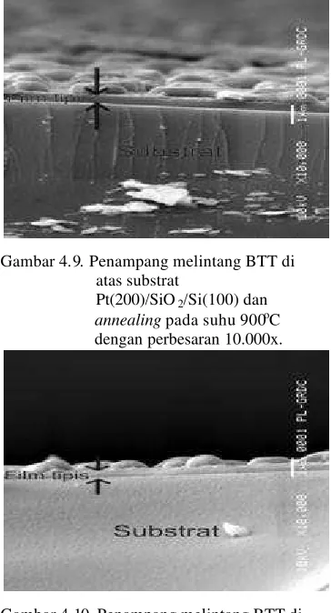Gambar 4.9. Penampang melintang BTT di  