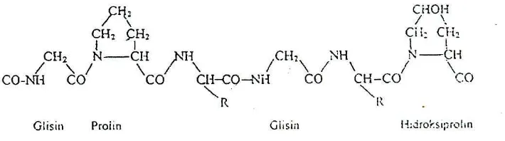 Gambar 3. Struktur kimia gelatin (Poppe, 1992) 