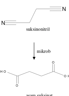 Gambar 1  Biokonversi Suksinonitril.                