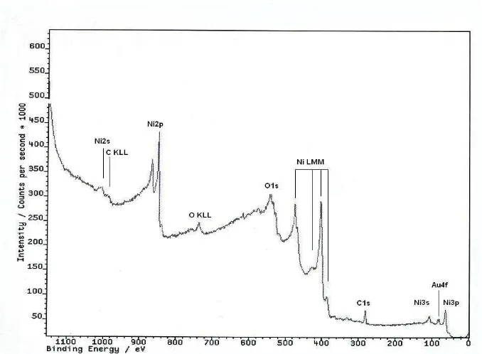 Figure 3.   An XPS spectrum of Ni nanofilm prepared by electrodeposition using solution of 0.1M  NiSO4 +10% glucopone 