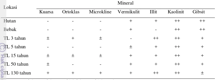 Tabel 9  Hasil analisis mineral liat di setiap lokasi 