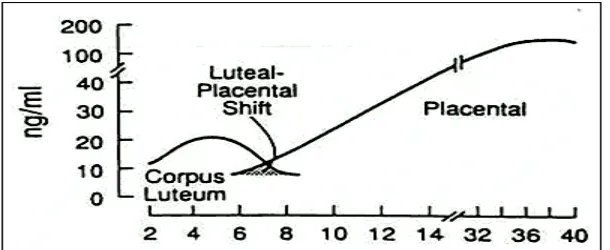 Gambar  4. Pergeseran produksi progesteron dari korpus luteum ke plasenta terjadi pada saat minggu ke 7-9 kehamilan