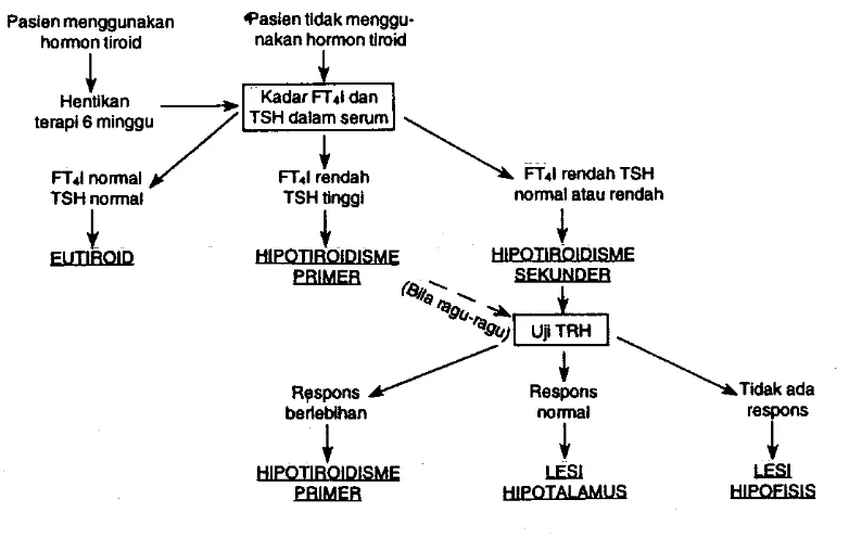 Gambar 5.      Diagnosis hipotiroidisme. Tiroksin bebas (FT4) maupun indeks tiroksin bebas (FT4I) dapat bersama TSH untuk penilaian
