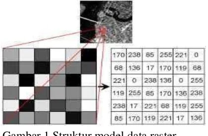 Gambar 1 Struktur model data raster 