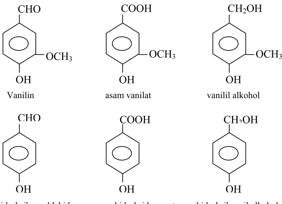 Gambar 3. Struktur Kimia Komponen Utama Flavor Panili (Rao dan Ravishankar, 2000). 