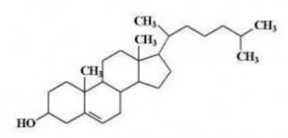 Gambar 4. Struktur molekul kolestrol (Hanani et al., 2005). 