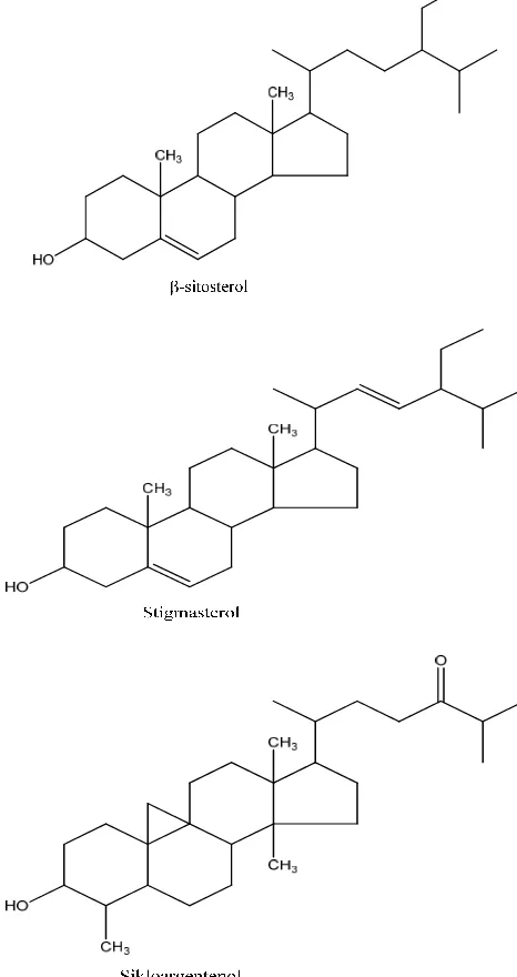 Gambar 7. Struktur molekul senyawa � -sitosterol, stigmasterol, dan       sikloargentenol (Soeksmanto et al., 2006)