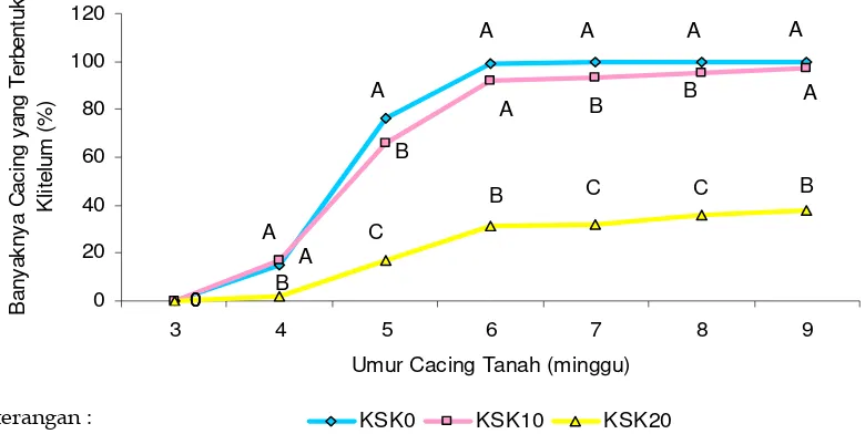 Gambar 7. Grafik Perkembangan Klitelum Cacing E. foetida Selama Tujuh Minggu (umur 3-9 Minggu) Penelitian