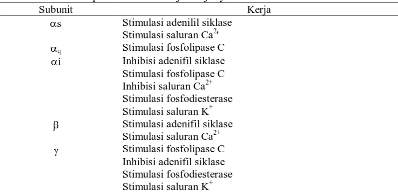 Tabel 1-2. Subunit protein G dan kerja-kerjanya. Subunit s 