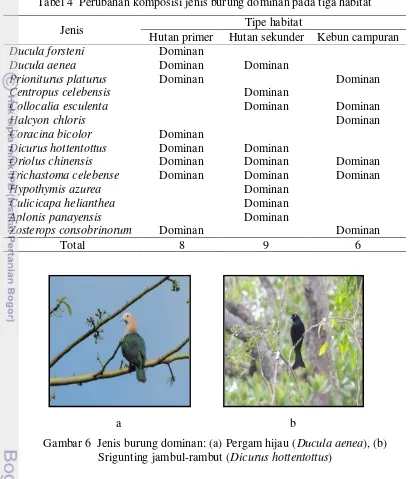 Tabel 4  Perubahan komposisi jenis burung dominan pada tiga habitat 