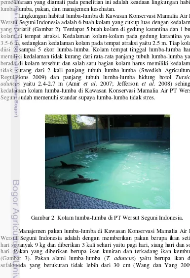 Gambar 2  Kolam lumba-lumba di PT Wersut Seguni Indonesia. 