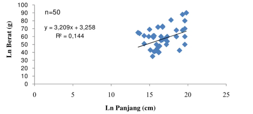 Gambar 5.5 Hubungan panjang dan berat ikan lemuru selama penelitian Persamaan  hubungan  panjang  dan  berat  ikan  lemuru adalah  W=  2,284 dengan  kisaran  nilai  b  sebesar  3,209