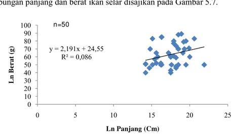 Gambar 5.7  Hubungan panjang dan berat ikan selar selama penelitian Model  regresi  linear  antara  panjang  dan  berat  ikan  selar hasil  tangkapan  adalah  ln W  =  24,55 + 2,191 ln L atau  y =  24,55 +  2,191x  (R² =  0,086%)