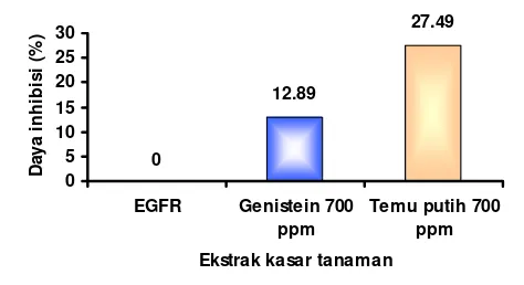 Gambar 14  Persen inhibisi enzim tirosin kinase pada ekstrak kasar flavonoid rimpang temu putih dan genistein pada konsentrasi 700 ppm