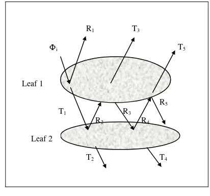 Figure 2. Sketch of hypothetical additive reflectance from a two-leaf layer canopy (Jensen, 2000)