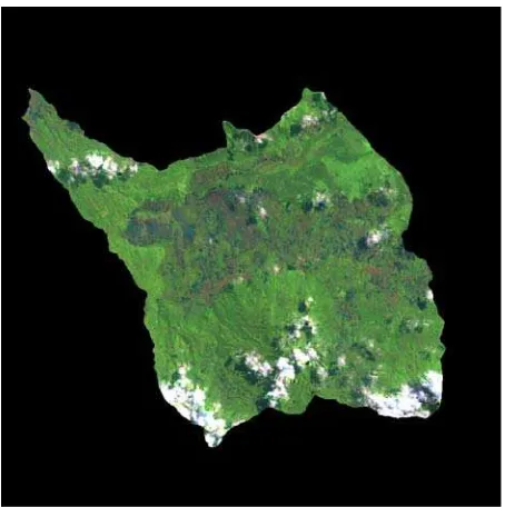 Figure 4. Satellite image of Cidanau watershed 2002 