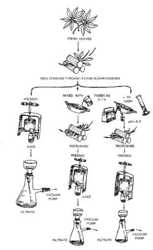Fig. 1 . Method for Extraction of Juice by Mechanical Pressures. 