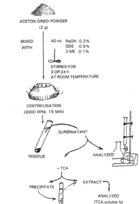 Fig. 3. Extraction of Protein from Acetone Dried Powder. 