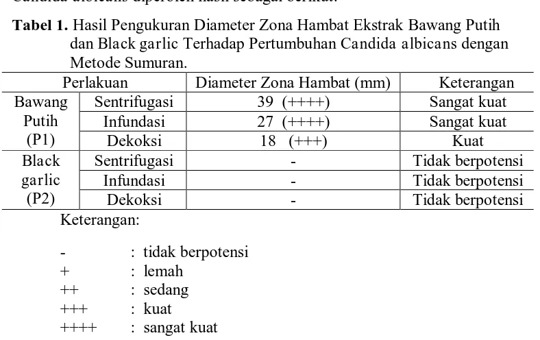 Tabel 1. Hasil Pengukuran Diameter Zona Hambat Ekstrak Bawang Putih dan Black garlic Terhadap Pertumbuhan Candida albicans dengan 