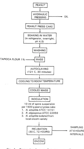 Fig. 1. Processing diagram of oncom preparation. 
