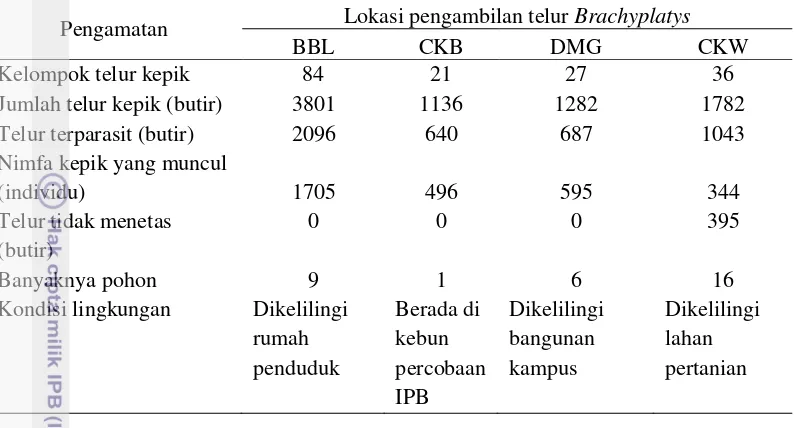 Tabel 1  Hasil survei telur Brachyplatys sp. terparasit di Babakan Lebak (BLB), Cikabayan (CKB), Dramaga (DMG), dan Cikarawang (CKW) 