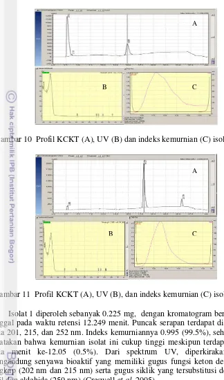 Gambar 10  Profil KCKT (A), UV (B) dan indeks kemurnian (C) isolat 2 (F30) 