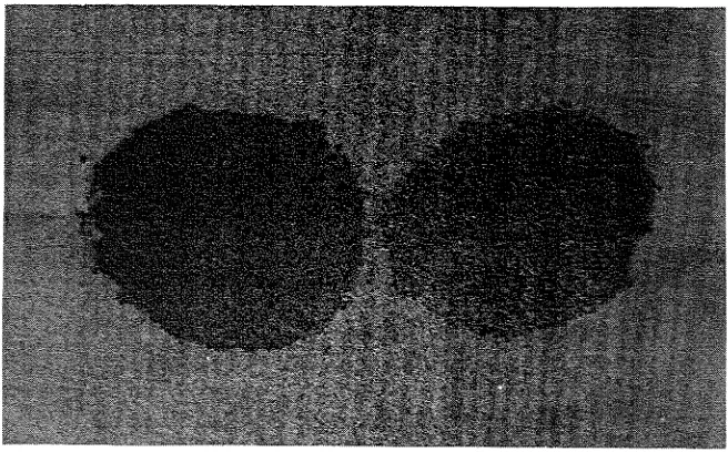 Fig. 1 1 .  The brown sorghum before (a) and after polishing (b). 