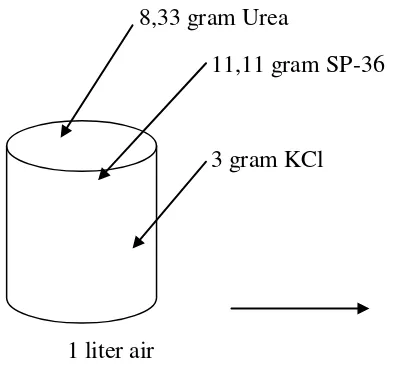 Gambar 3. Cara pembuatan larutan pupuk Urea, KCl dan SP-36. 