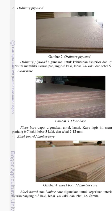 Gambar 2  Ordinary plywood 