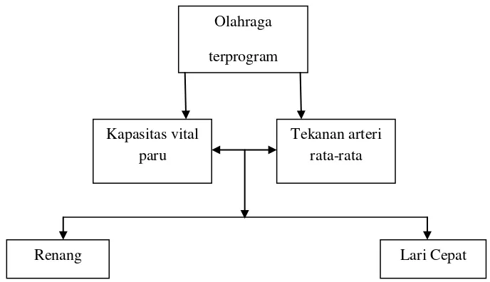 Gambar 1. Kerangka Teori menurut Suswono (2009). 