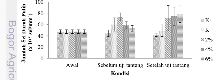 Gambar 3 Pola kelangsungan hidup ikan lele selama pemeliharaan. Uji 