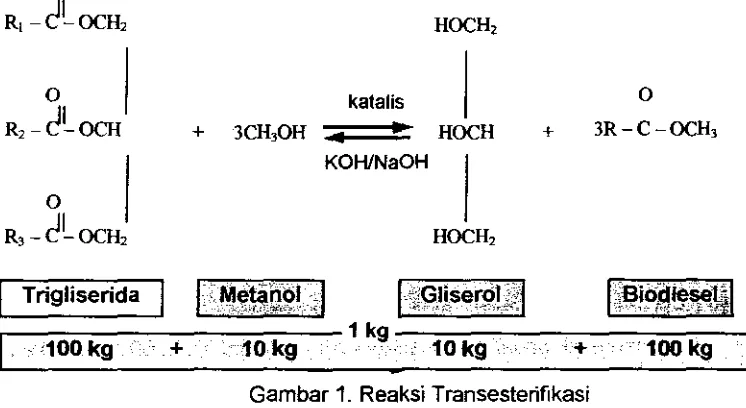 Gambar 7. Reaksi Transesterifikasi 