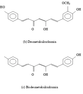 Gambar 4.  Struktur Molekul Komponen Kurkuminoid 