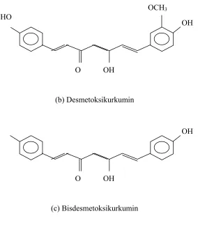 Gambar 4.  Struktur Molekul Komponen Kurkuminoid 
