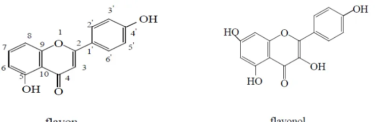 Gambar 8. Rumus bangun flafon dan flavonol 