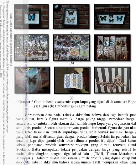 Gambar 2 Contoh bentuk souvenir kupu-kupu yang dijual di Jakarta dan Bogor. 