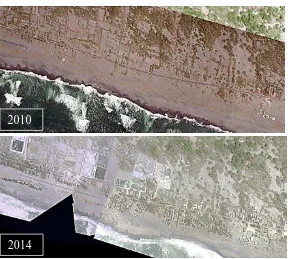Gambar 1.1 Perubahan Penggunaan Lahan di sebagian pesisir Desa Parangtritis  (Sumber: Foto Udara Desa Parangtritis tahun 2010 dan 2014) 