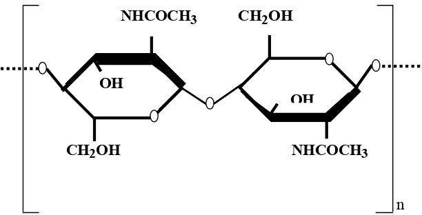 Gambar 1. Struktur Molekul Kitin Sumber: Wikipedia (2006)  