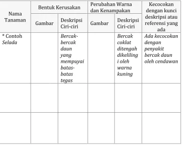DeskripsiGambarCiri-ciriGambar