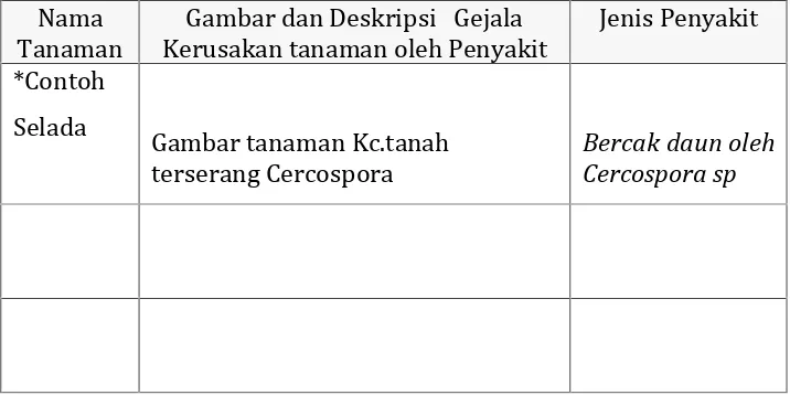 Gambar dan Deskripsi   GejalaKerusakan tanaman oleh Penyakit