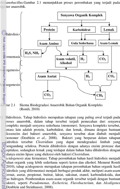 Gambar 2.1  Skema Biodegradasi Anaerobik Bahan Organik Kompleks  