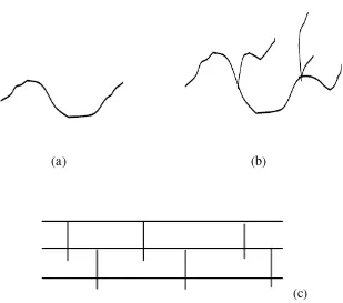 Gambar 1.  Struktur Polimer (a) rantai lurus, (b) bercabang, (c) tiga dimensi    