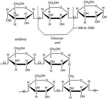 Gambar 4. Struktur amilosa dan amilocpektin. 