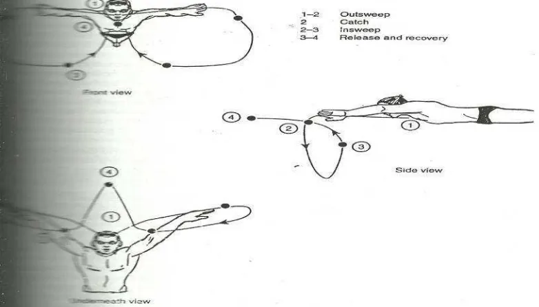 Gambar 6. Depan, samping dan pola gaya dada bawah.