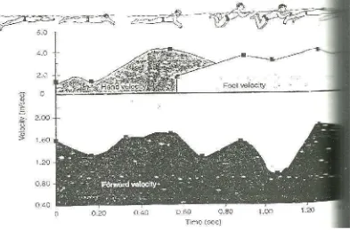Gambar 10. Maju Khas, tangan, dan pola kecepatan kaki untuk perenang gayadada Glenn D